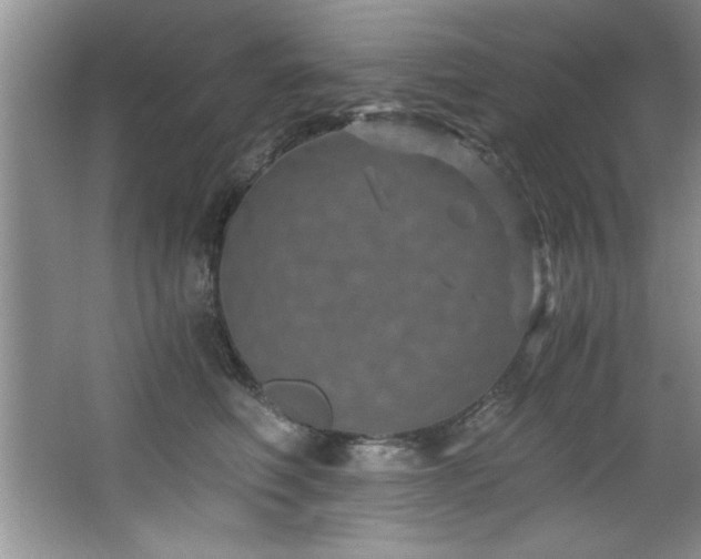 X0000068750614200604281207