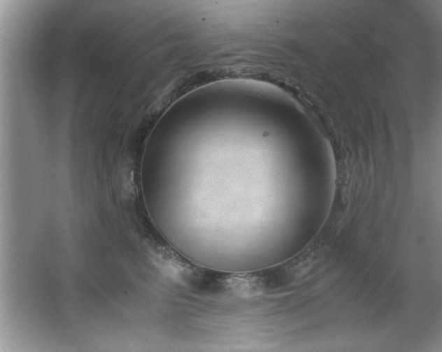 X0000068750615200604281207