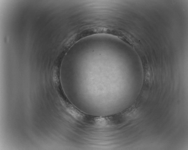 X0000068750616200604281207