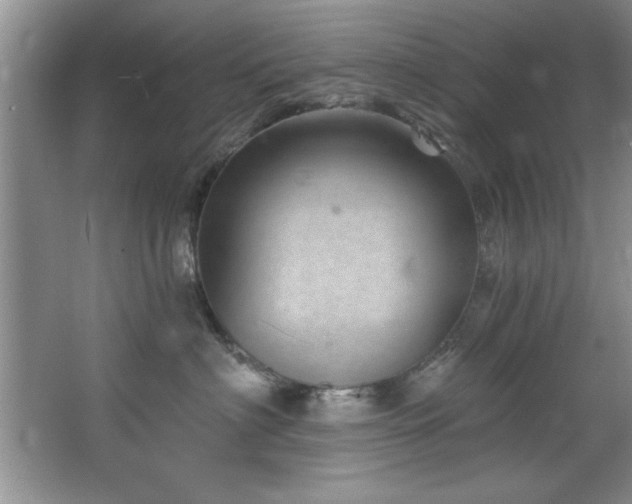 X0000068750622200604281207