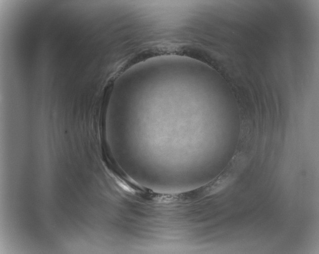 X0000068750624200604281207