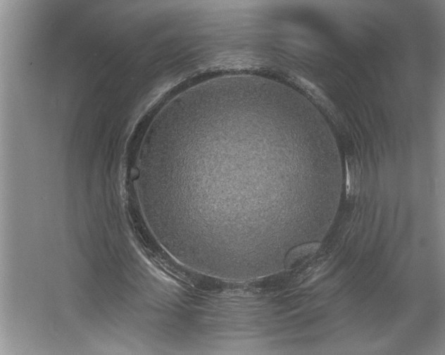 X0000068750627200604281206