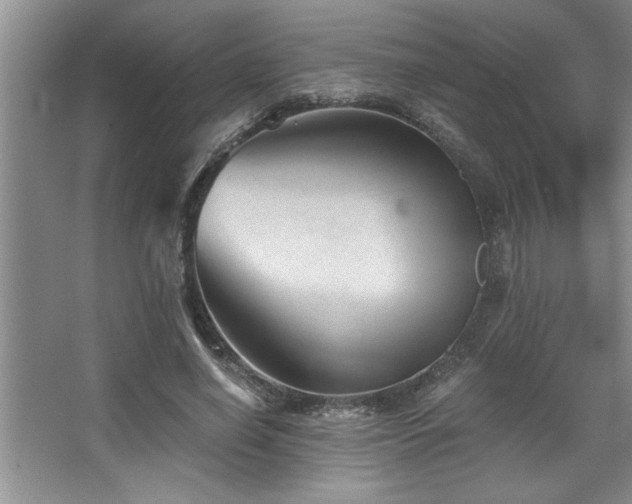 X0000068750638200604281206