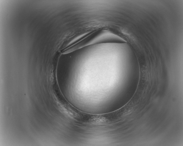 X0000068750642200604281206