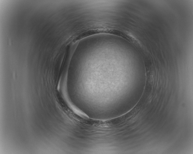X0000068750643200604281206