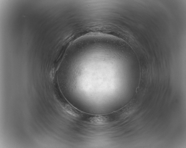 X0000068750652200604281207