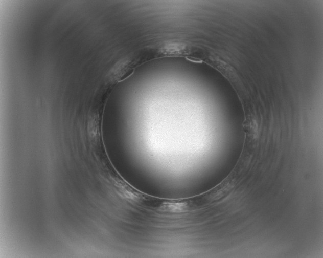 X0000068750665200604281207