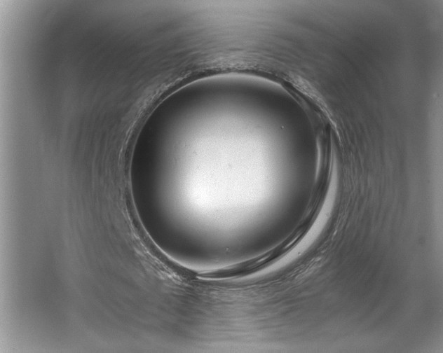 X0000068750673200604281206