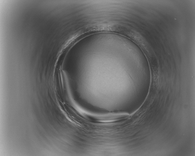 X0000068750674200604281206