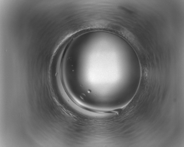 X0000068750676200604281206