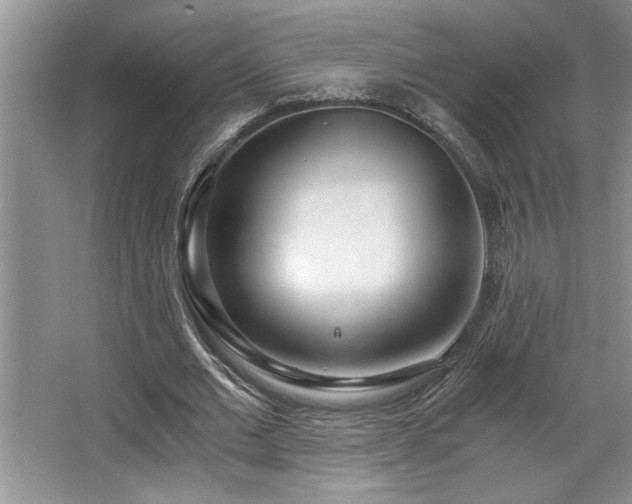 X0000068750677200604281206