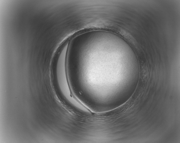 X0000068750680200604281206