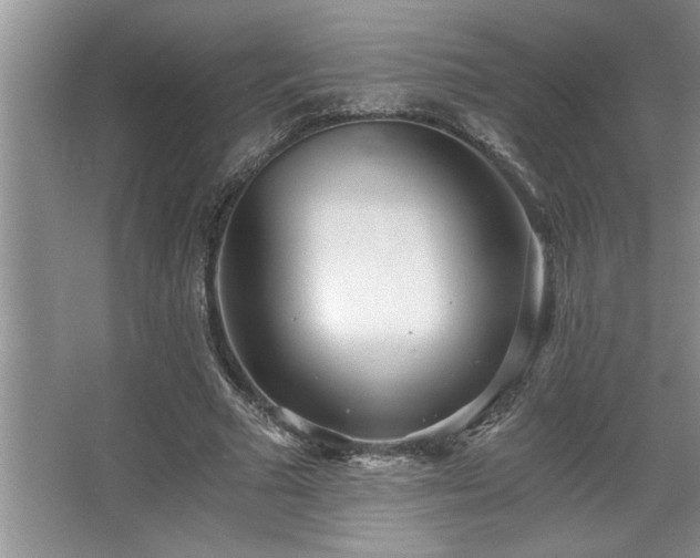 X0000068750681200604281206