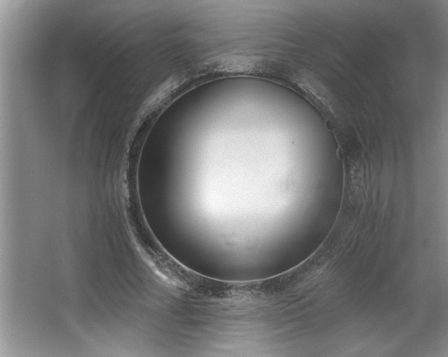 X0000068750682200604281206
