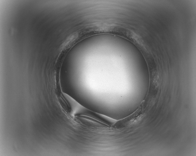 X0000068750685200604281206