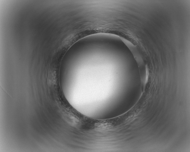 X0000068750689200604281206