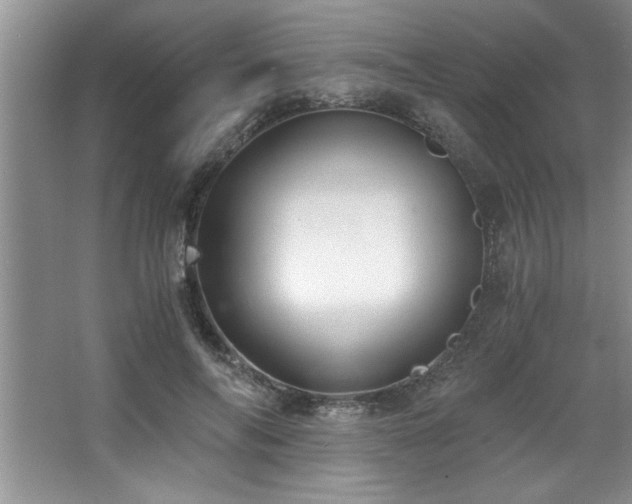 X0000068750694200604281206