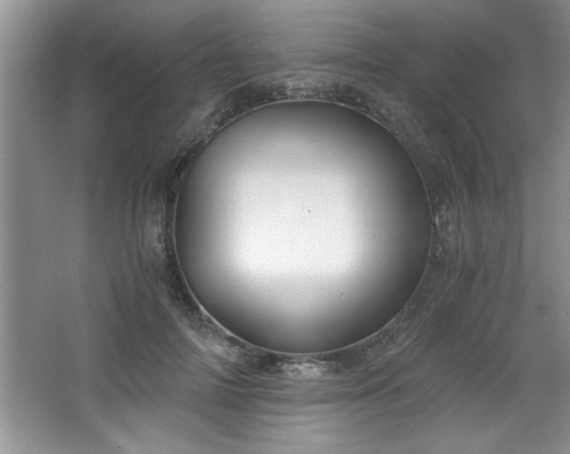 X0000068750698200604281206