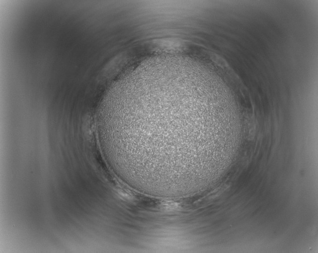 X0000068750701200604281206