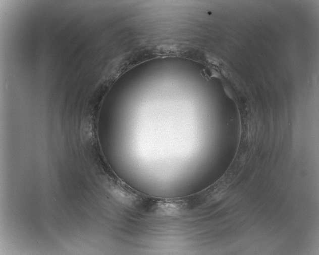 X0000068750706200604281206