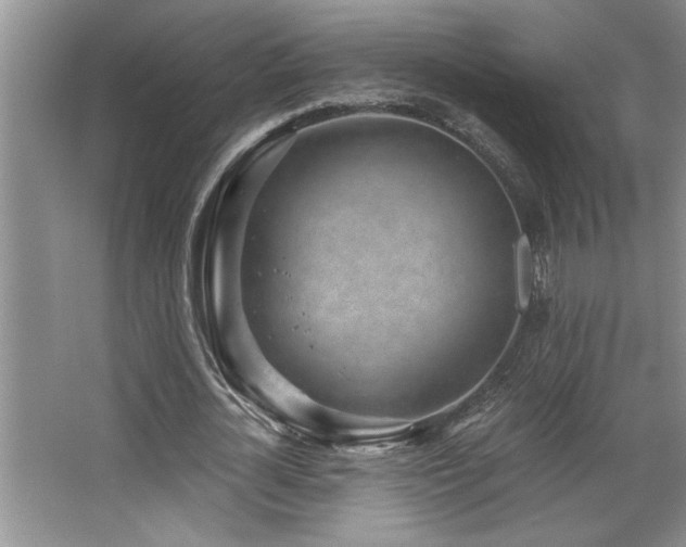 X0000068750724200604281205