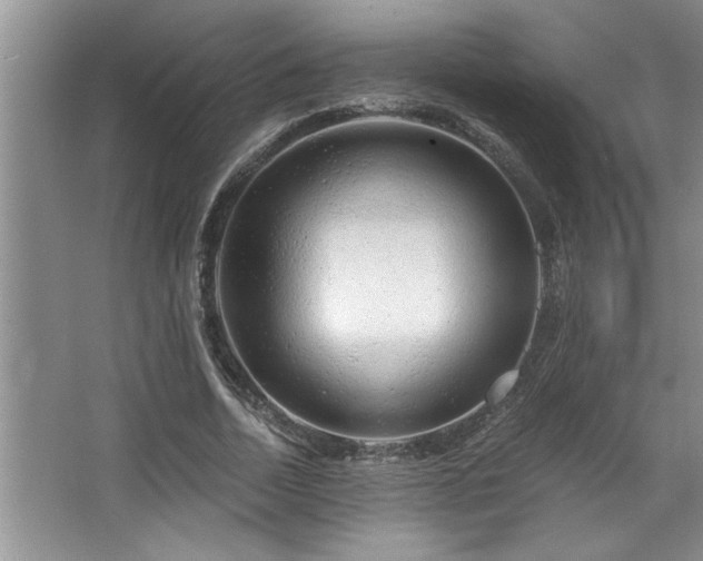 X0000068750730200604281205