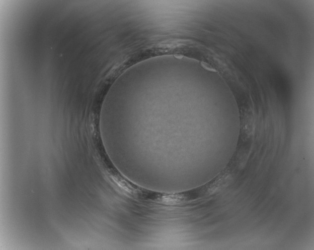 X0000068750758200604281205