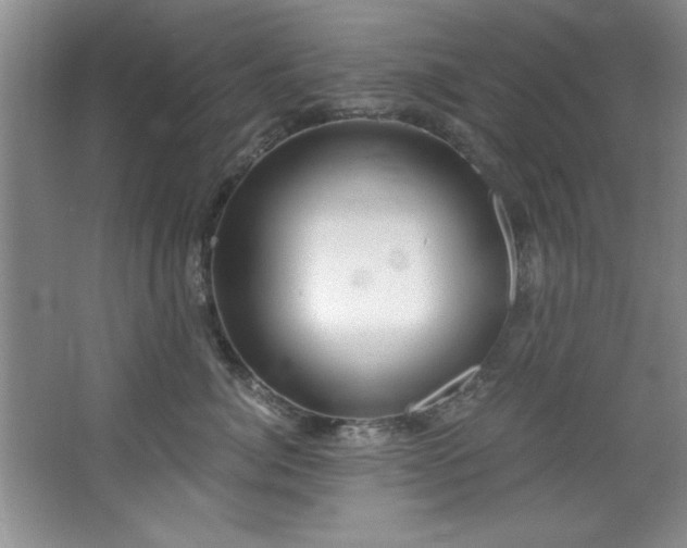 X0000068750764200604281205