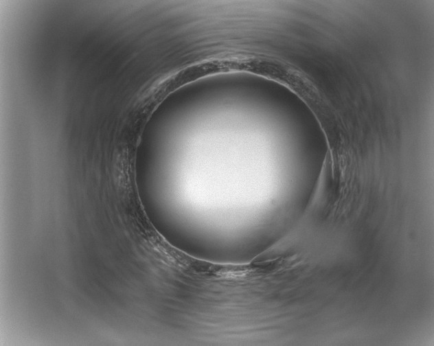 X0000068750773200604281204