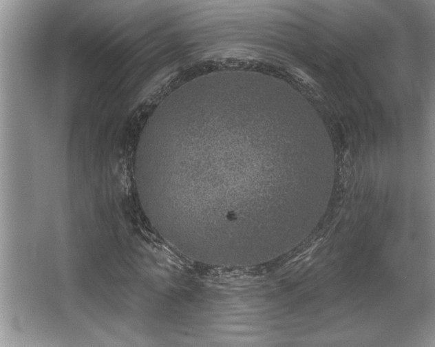 X0000068750774200604281204