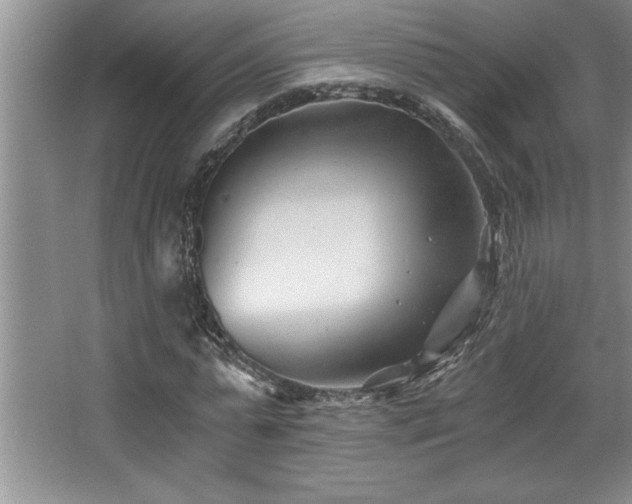 X0000068750775200604281204