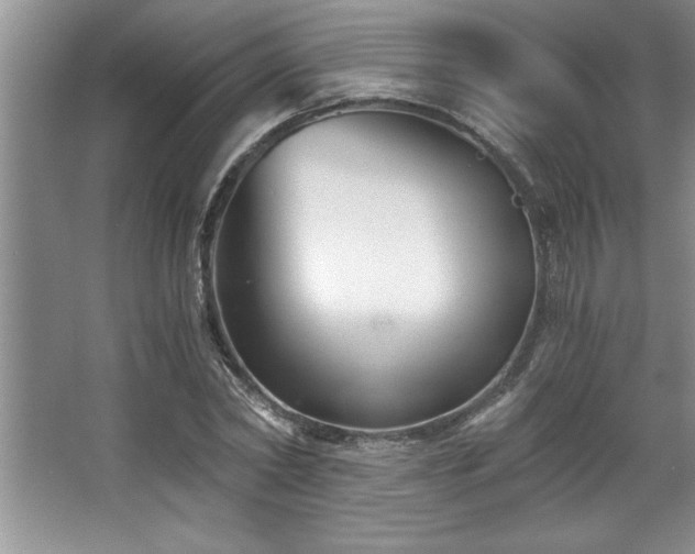 X0000068750782200604281204