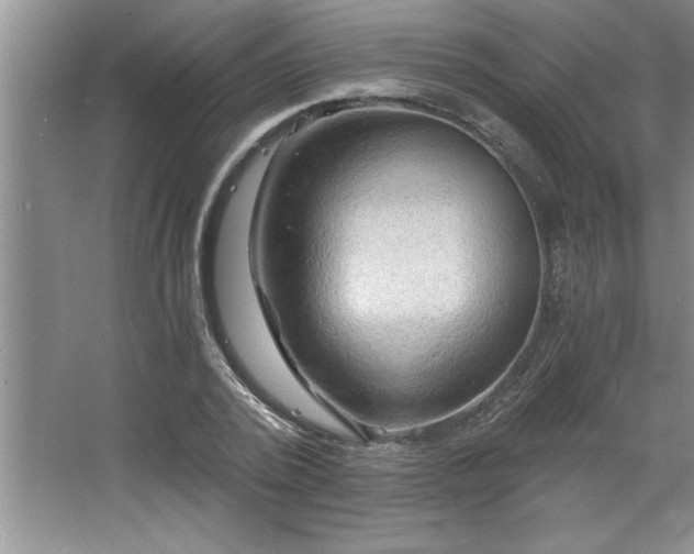 X0000068750784200604281204