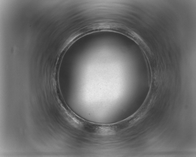 X0000068750794200604281204