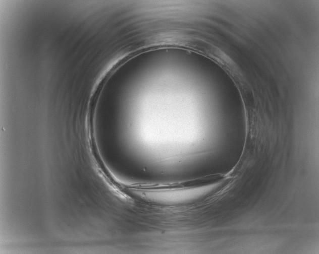 X0000068750796200604281204