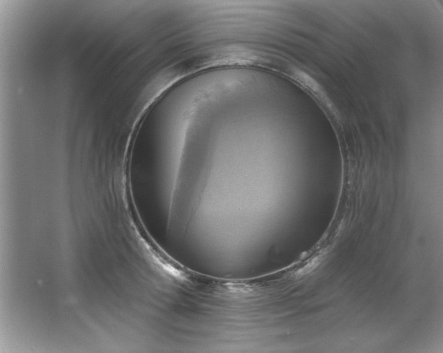 X0000068750802200604281204