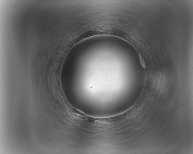 X0000068750817200604281203