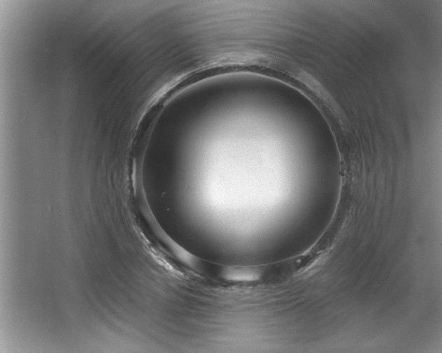X0000068750834200604281203