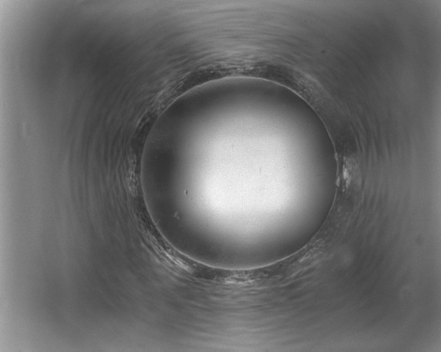 X0000068750867200604281203