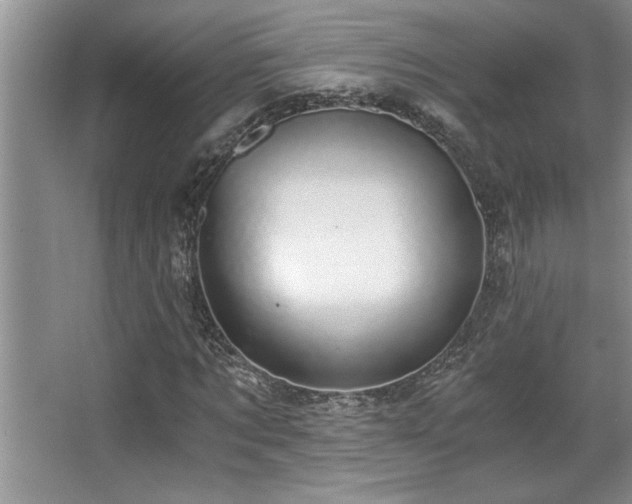 X0000068750869200604281203