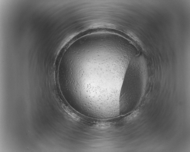 X0000068750877200604281203