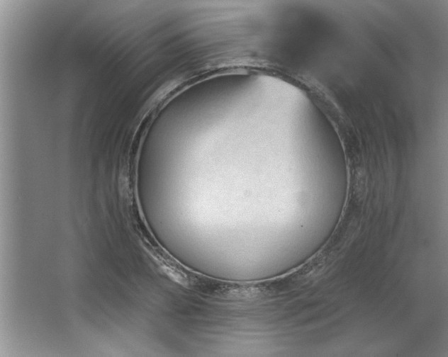 X0000068750882200604281203