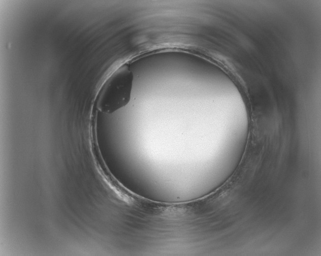 X0000068750890200604281202