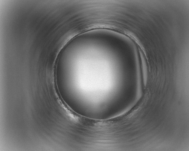 X0000068750898200604281202