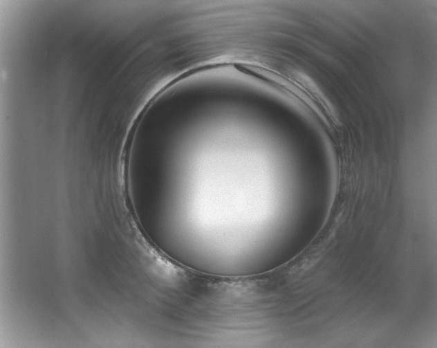 X0000068750900200604281202