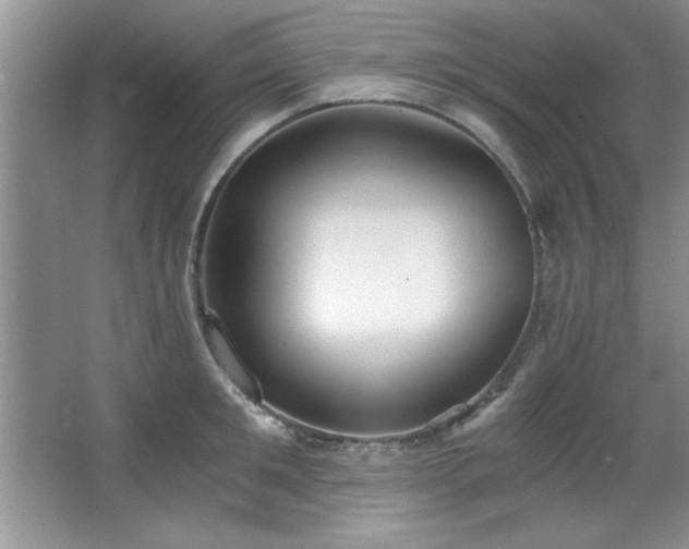 X0000068750901200604281202