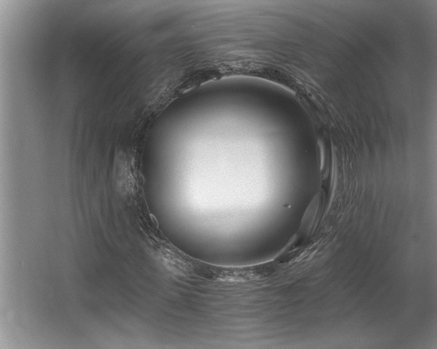 X0000068750915200604281201