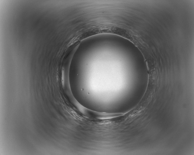 X0000068750916200604281201