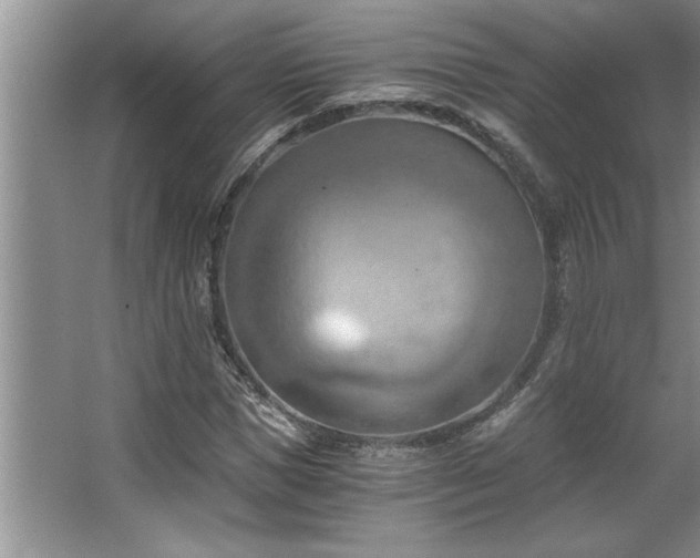 X0000068750921200604281201