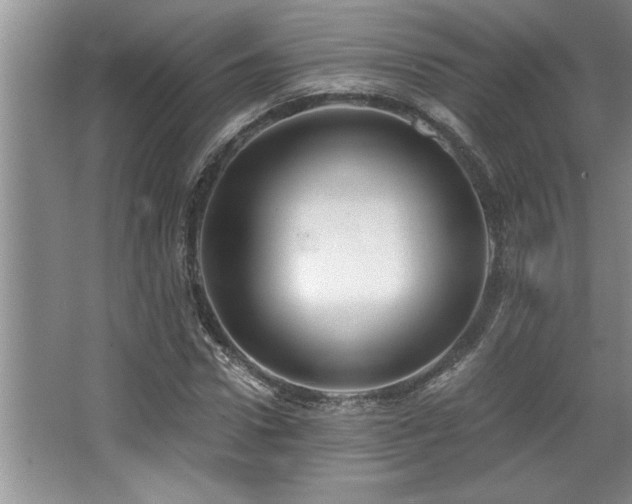 X0000068750922200604281201